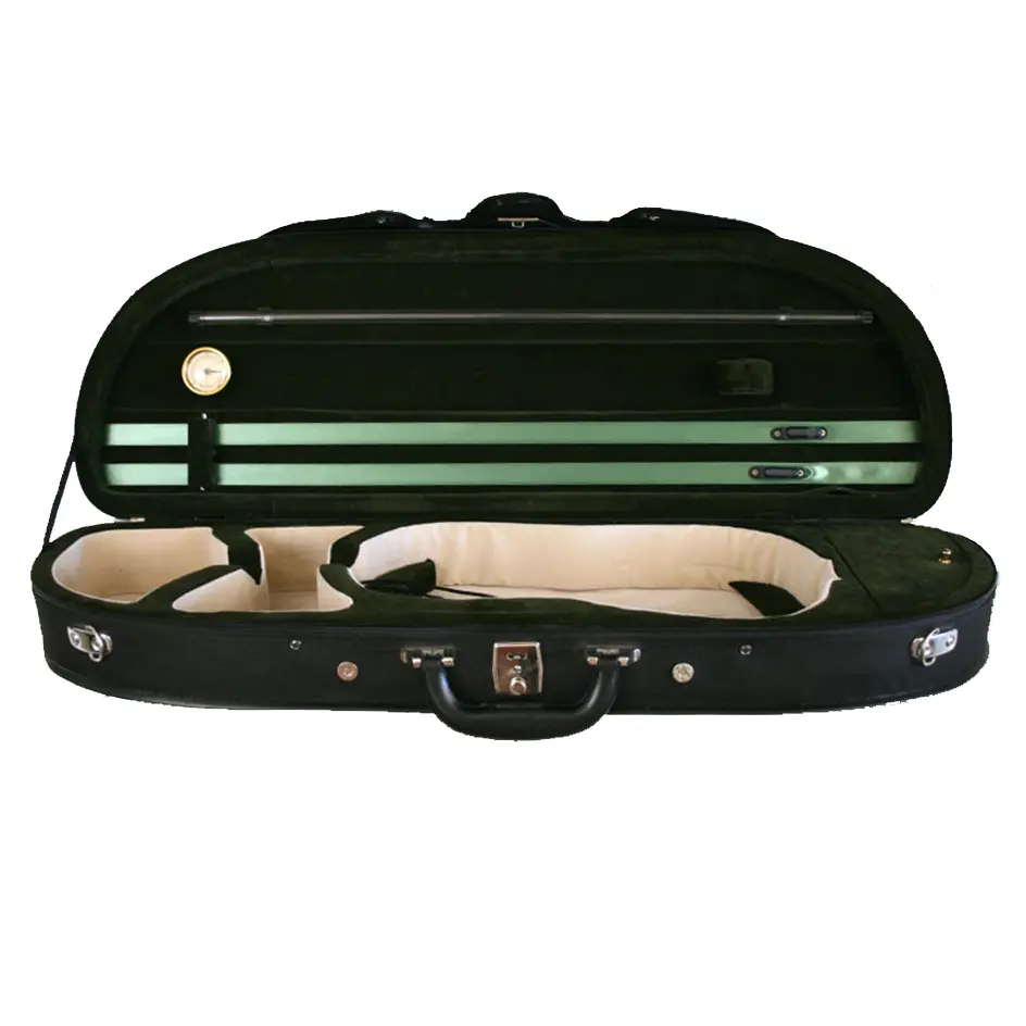 lightweight violin case - Are violin cases heavy