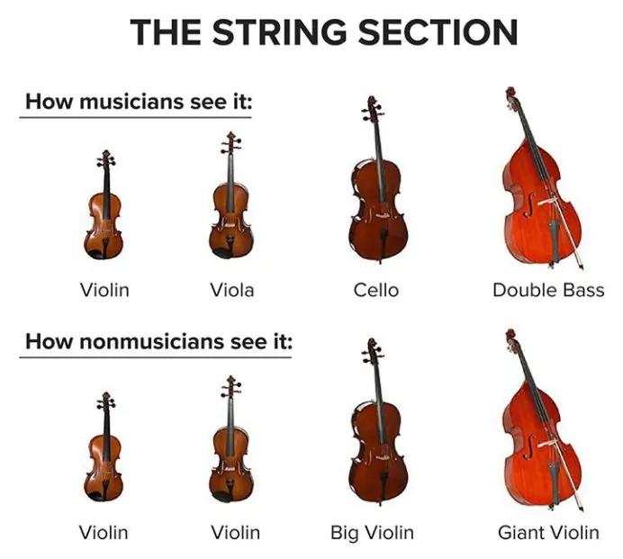 cello or violin - Can a cellist learn violin