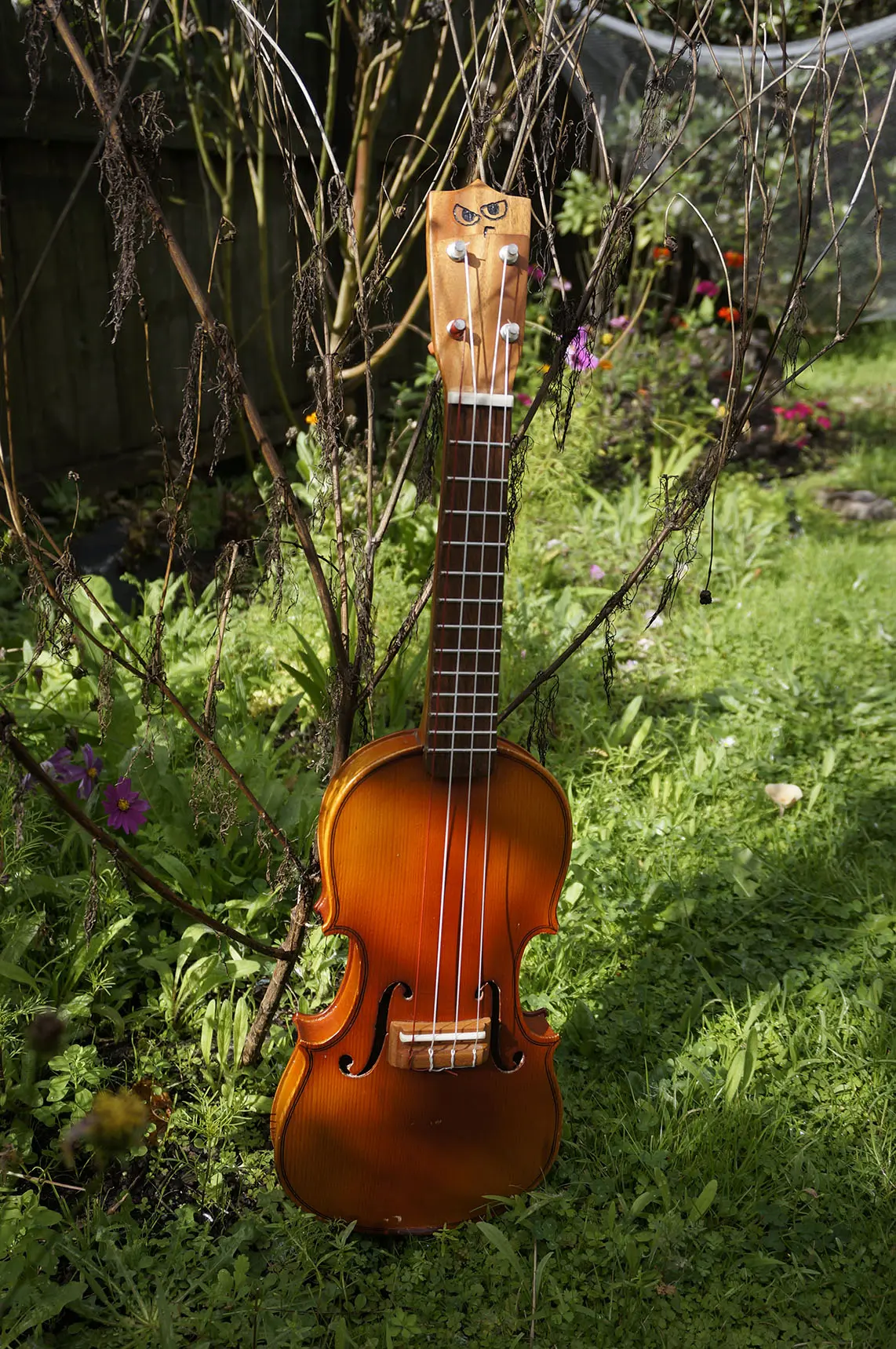 violin ukulele - Can you tune a violin like a ukulele
