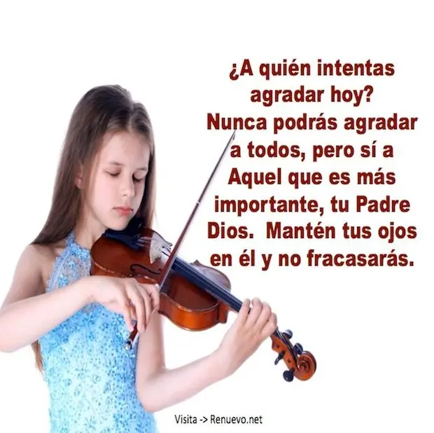 frases para enamorar a una violinista - Cómo describirías a un buen violinista