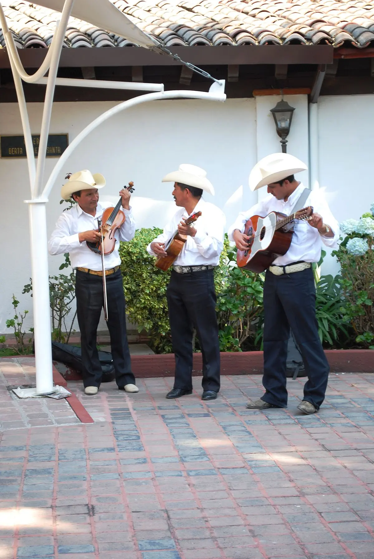 mariachi vargas de tecalitlán violin huapango - Cómo es el huapango mariachi