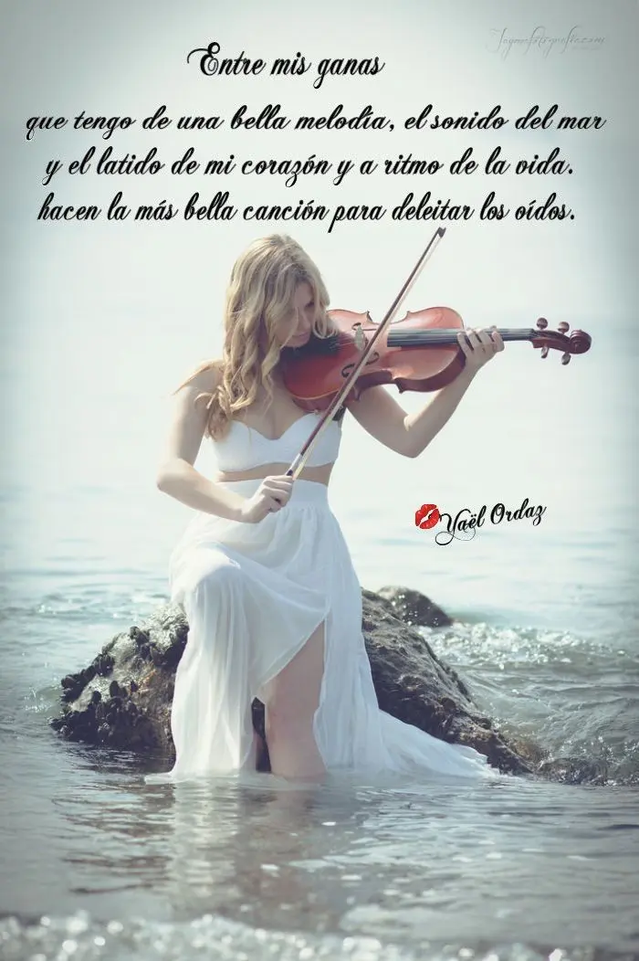 frases de violinistas tumblr - Cómo felicitas a un violinista