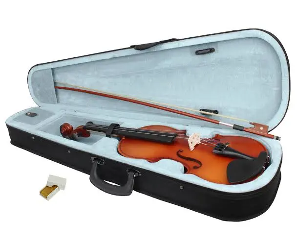 como hacer un estuche para violin - Cómo se fabrican los estuches para violín