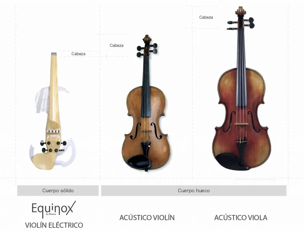 violin grande como se llama - Cómo se llama el instrumento parecido al violín