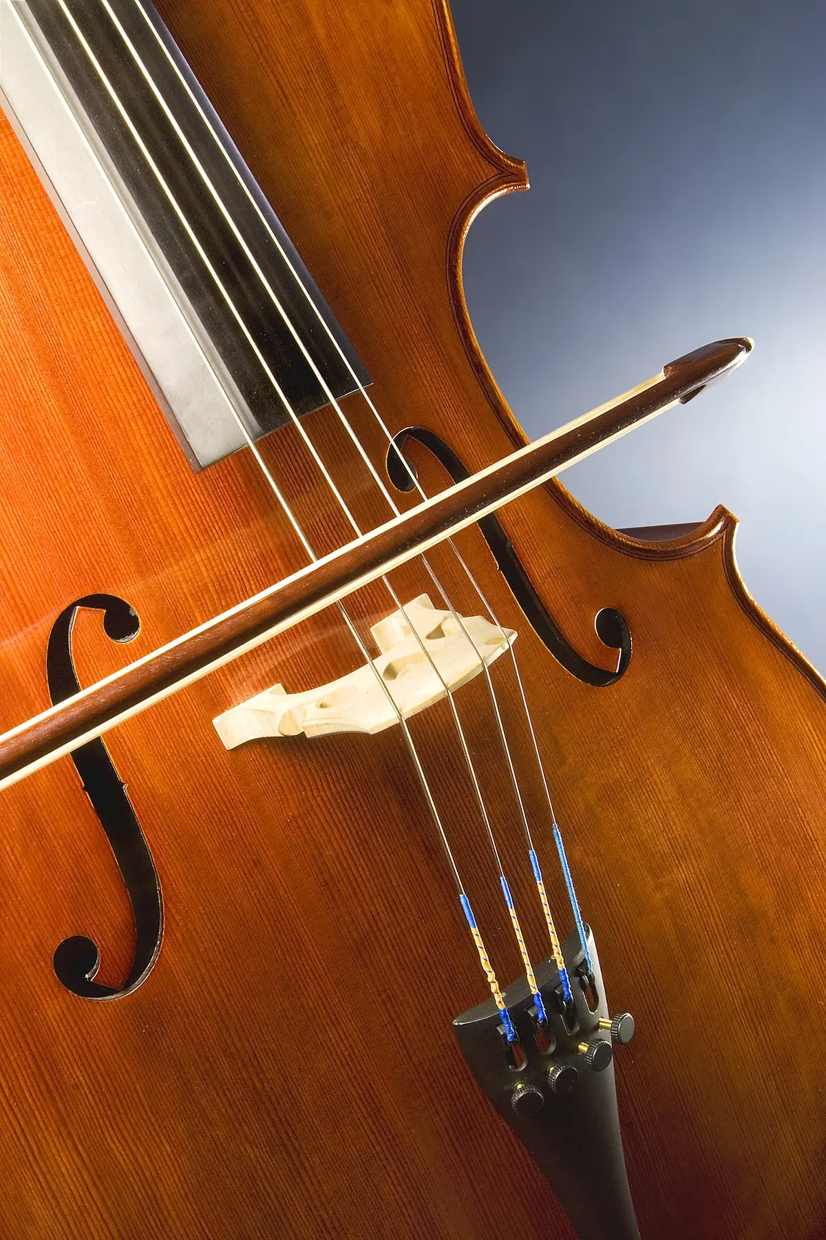 violin en forma de s - Cómo se llama la boca en forma de S de un violín