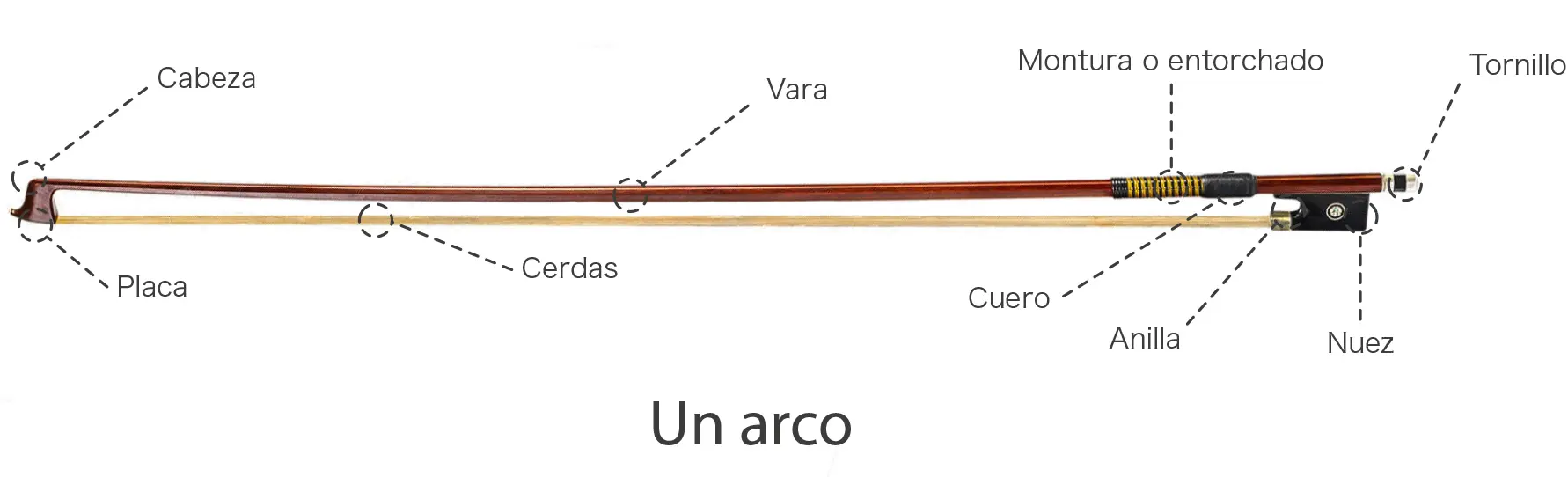 partes del arco del violin - Cómo se llaman las partes del arco de violín