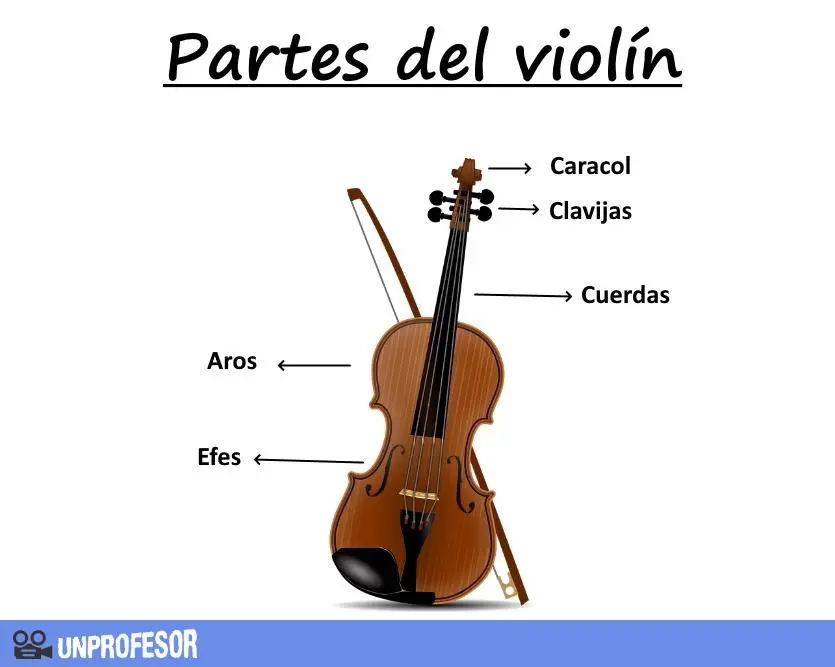 como esta formado el violin - Cómo se llaman los instrumentos del violín