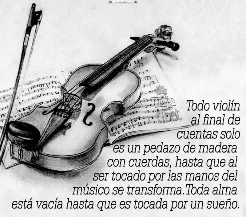El Violín con Frases de Amor: Un Instrumento que Encanta los Corazones - Cuál es el significado del violín en la música violin con frases de amor - Cuál es el significado del violín en la música