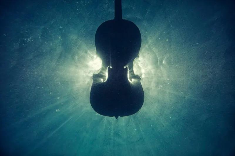 humidificador para violin - Cuál es la mejor humedad para los violines
