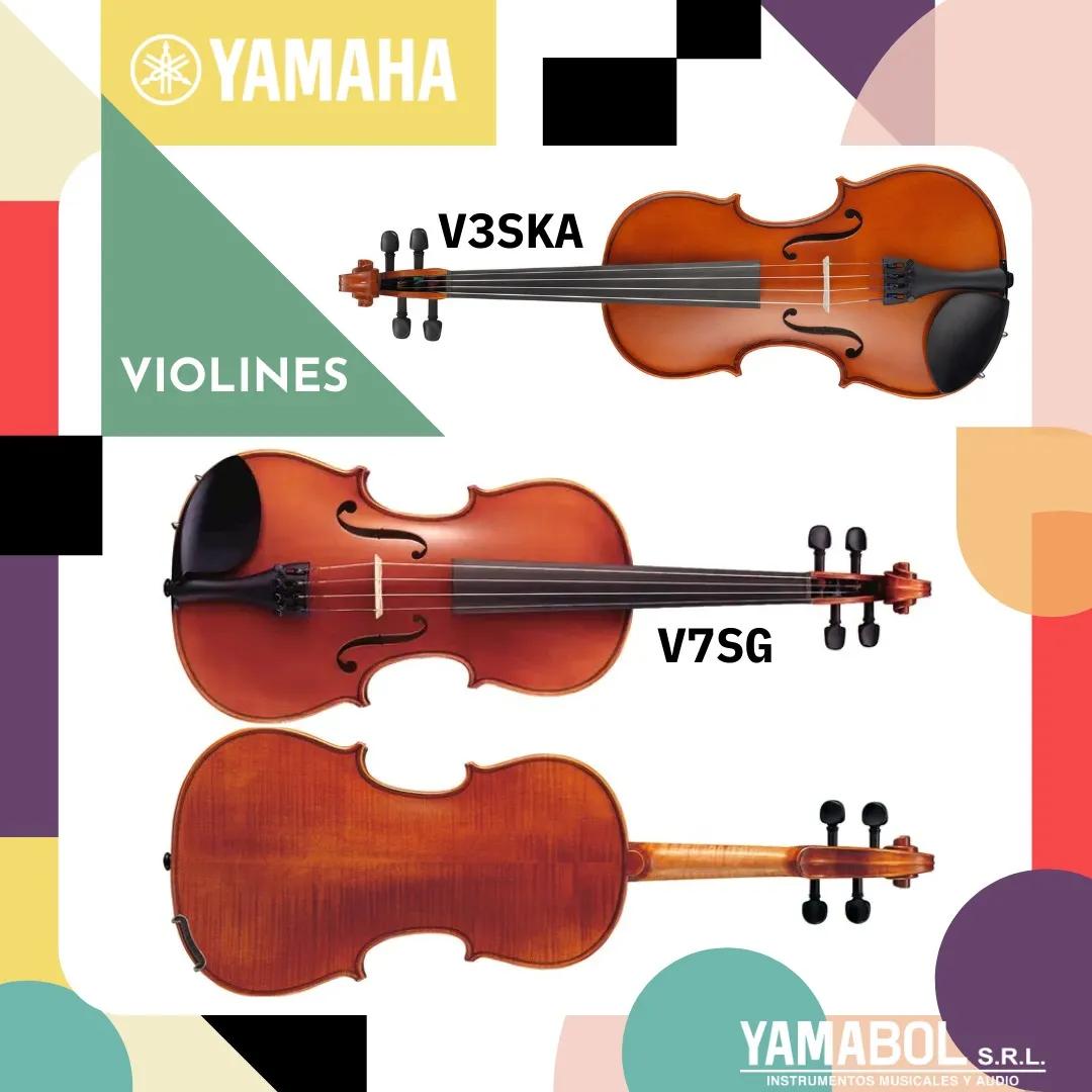 cuanto cuesta un violin en bolivia - Cuánto cuesta una cuerda de violín en Bolivia