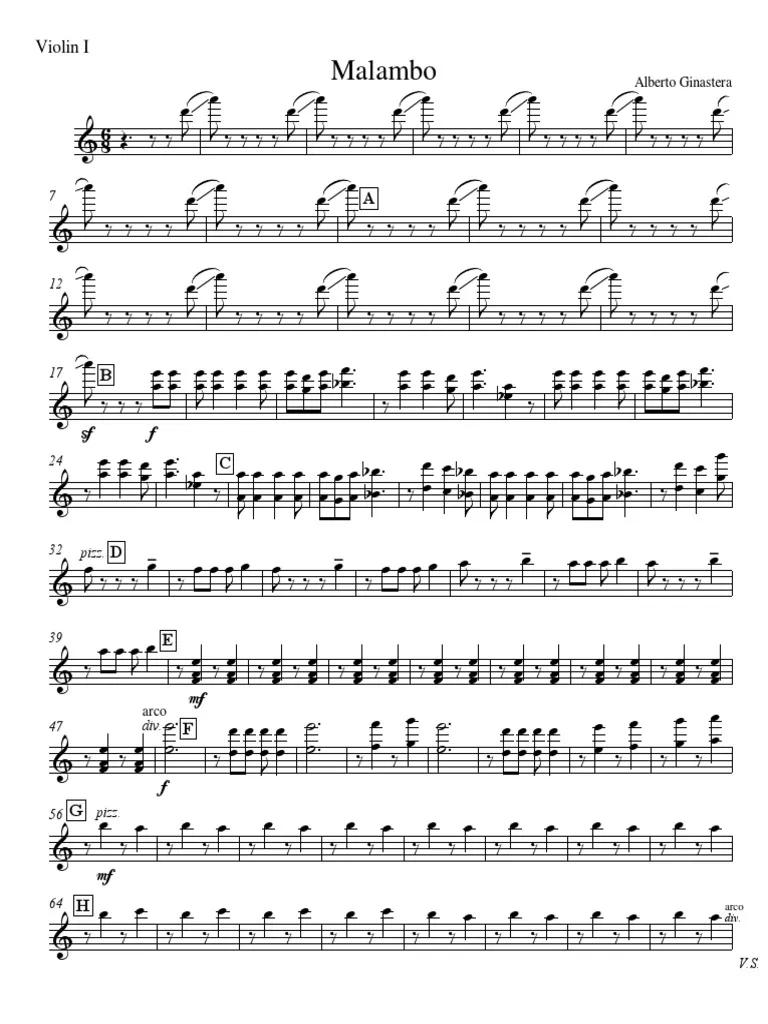malambo con violin - Cuántos tipos de malambo hay