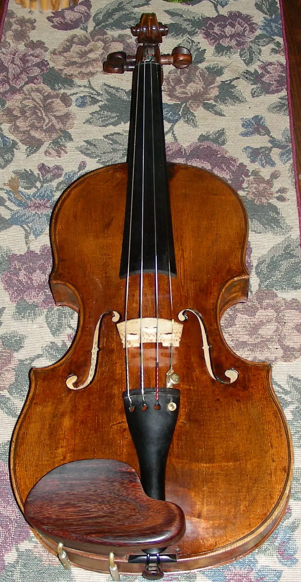 joseph klotz violin - How do I identify a Klotz violin