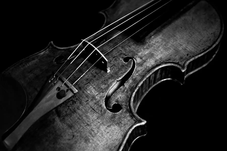 violin black and white - Is a lighter violin better