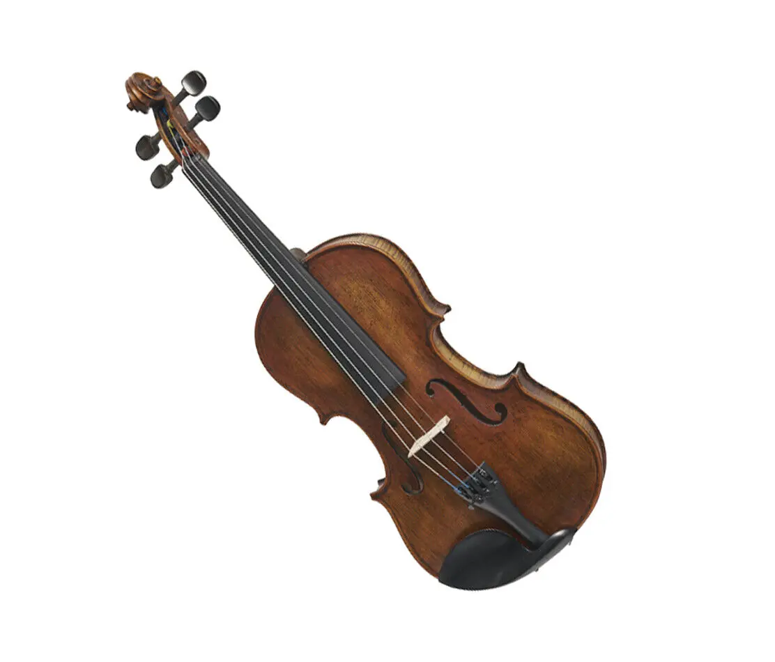 verona violin - Is Stentor Arcadia a good violin