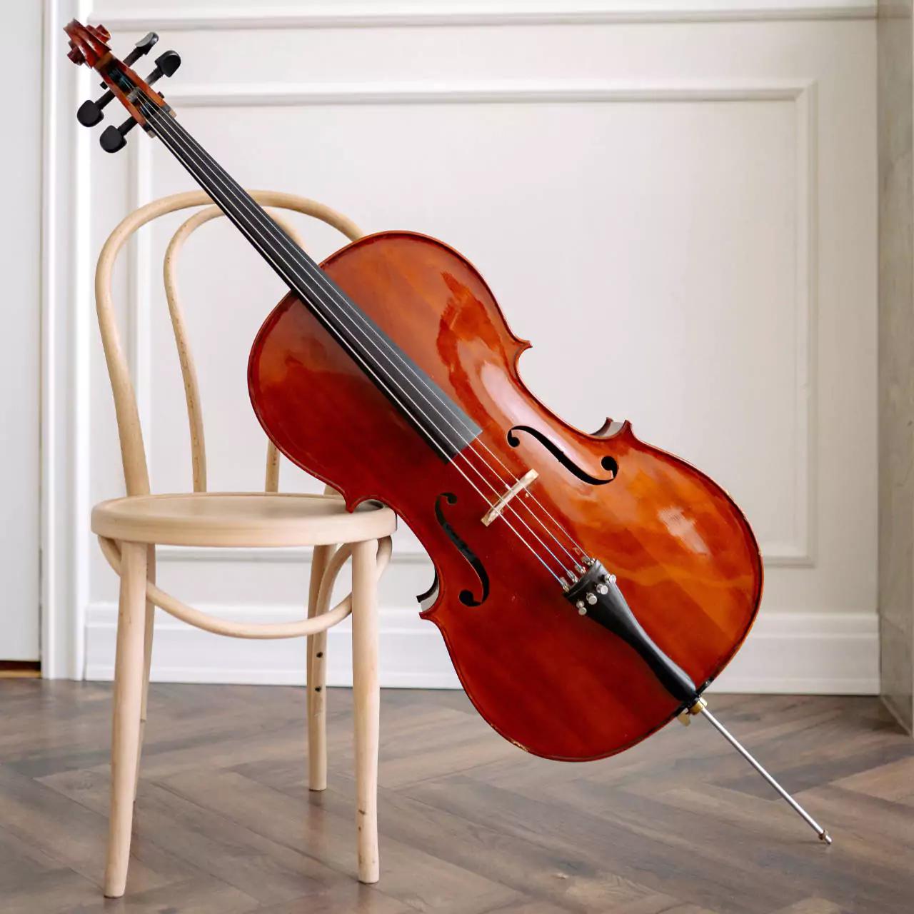 violin and cello - Is violin and cello the same