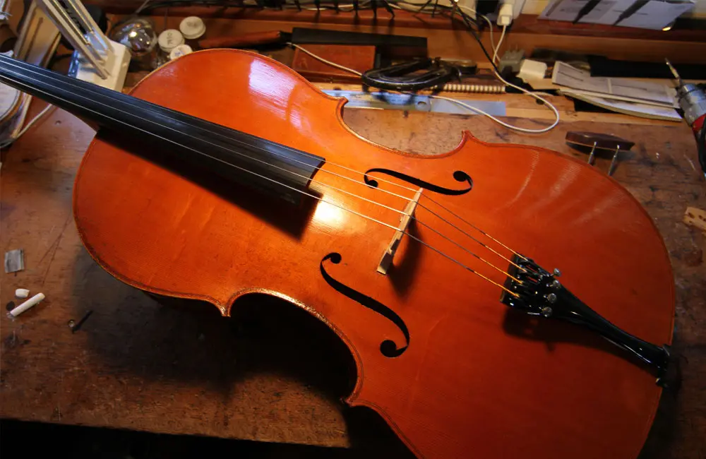 cara de violin - Por qué el violín tiene esa forma