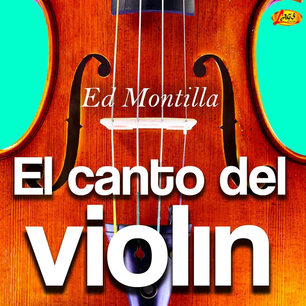 el canto del violin - Qué es el canto del violín