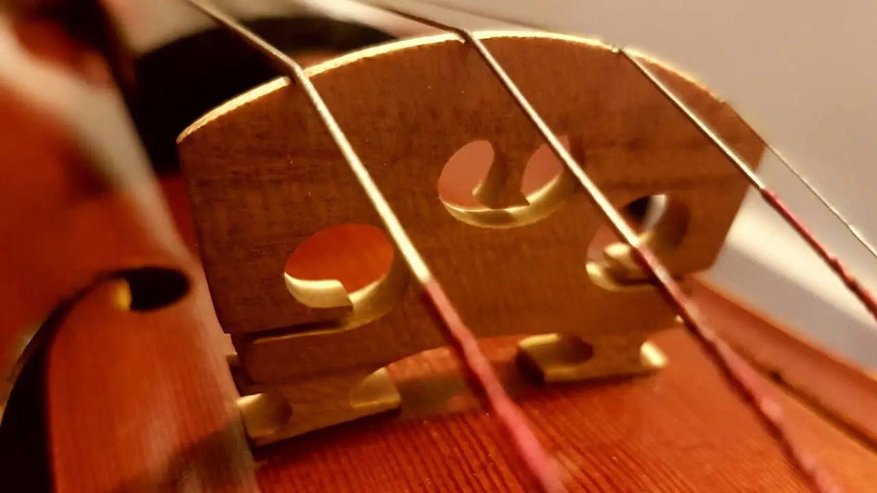 puente violin - Qué es el puente en el violín