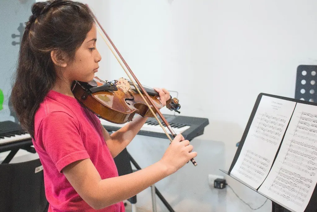 Características de un violinista - Qué estudia un violinista caracteristicas de un violinista - Qué estudia un violinista