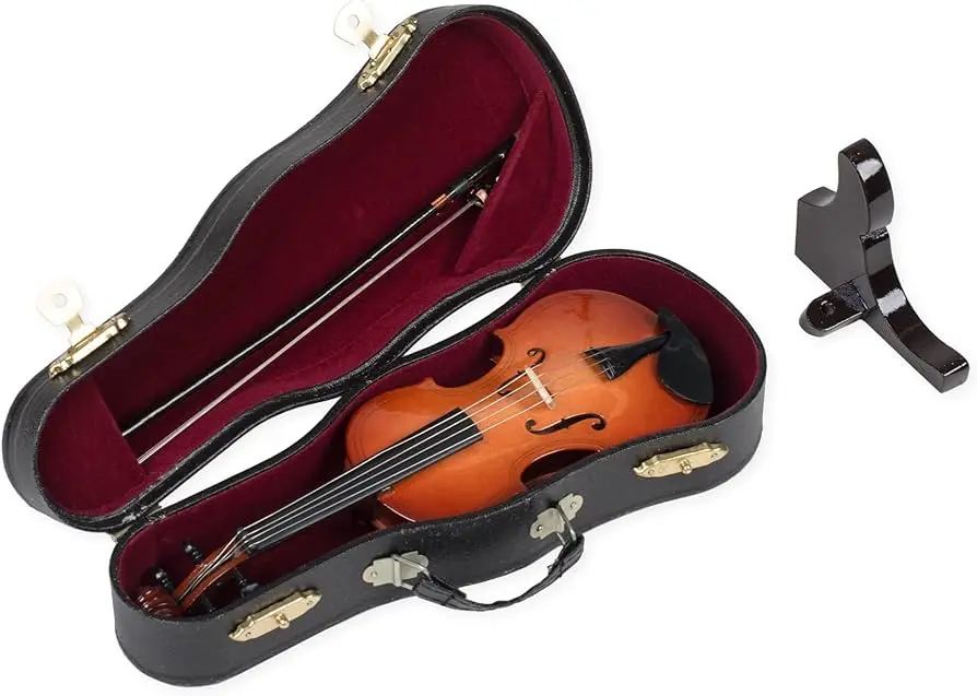 violin box - Should I keep my violin in the case