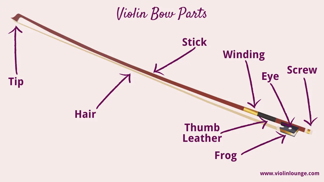 violin bow parts - What are the parts of the violin and bow