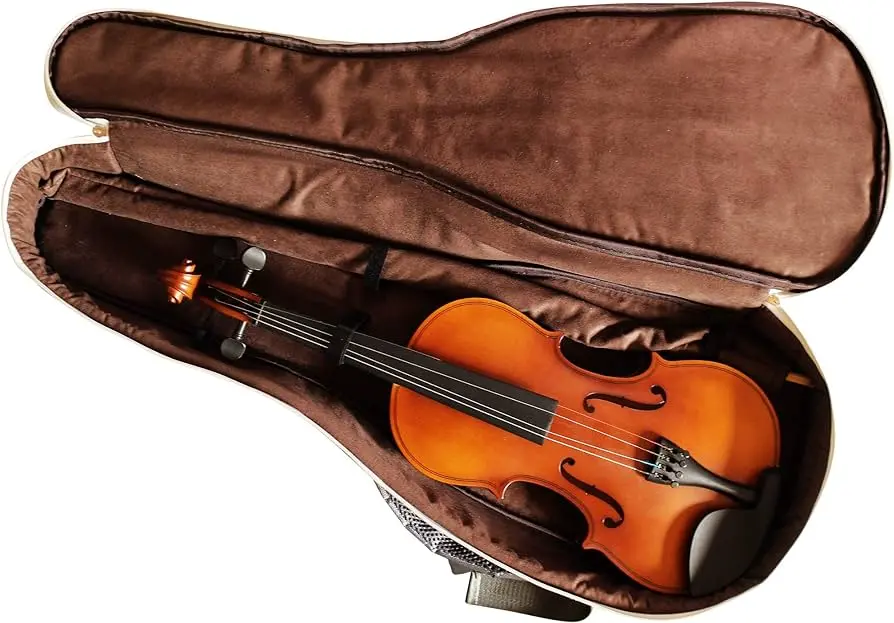 violin bag - What is a violin bag for