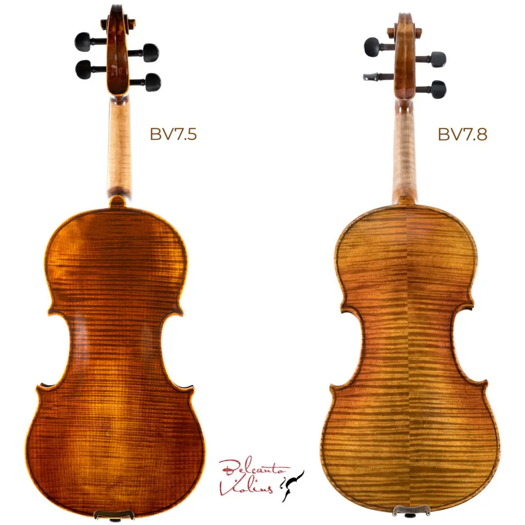 one piece back violin - What is the back of a violin called