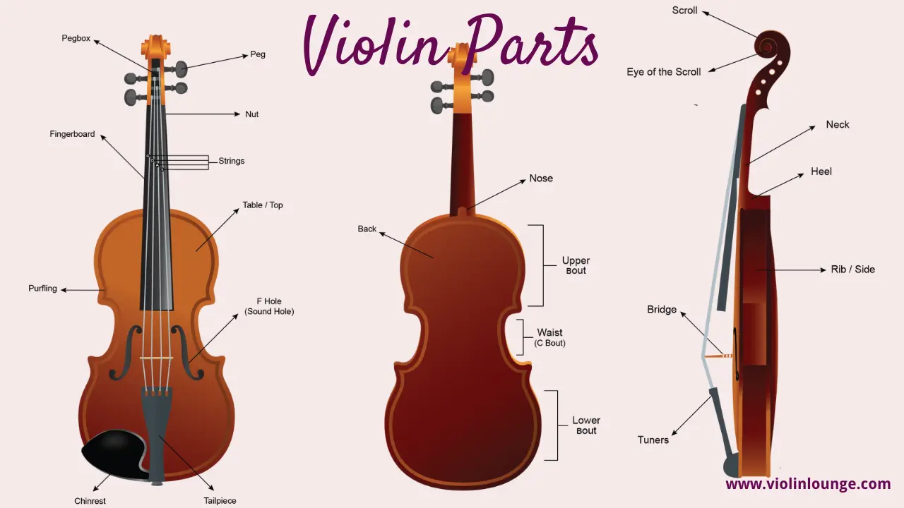 violin headstock - What is the curved head of a violin called
