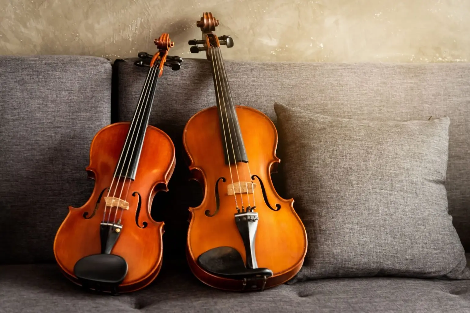 violin and cello - What is the difference between a violin cello and bass