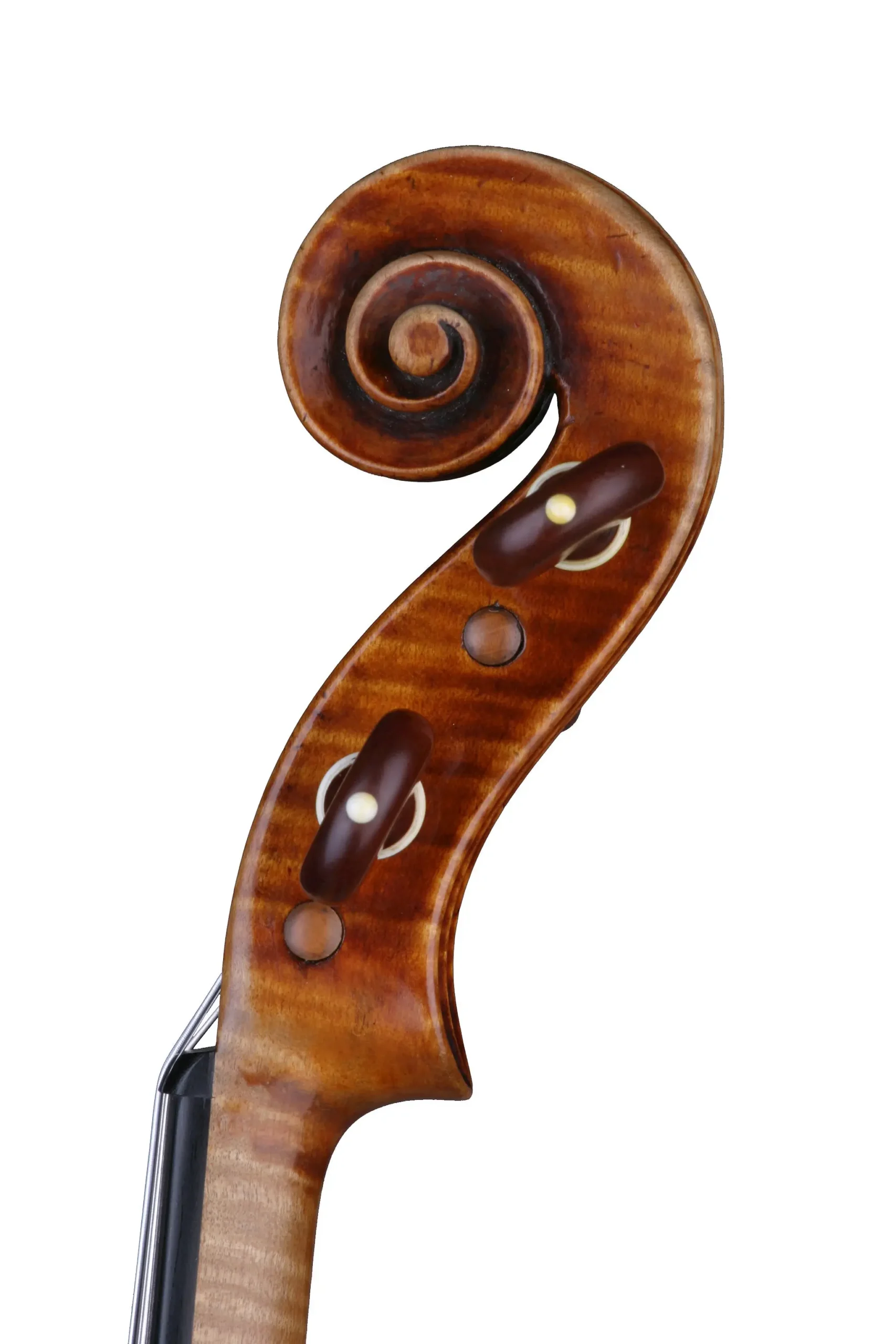 violin scroll - What is the geometry of the violin scroll