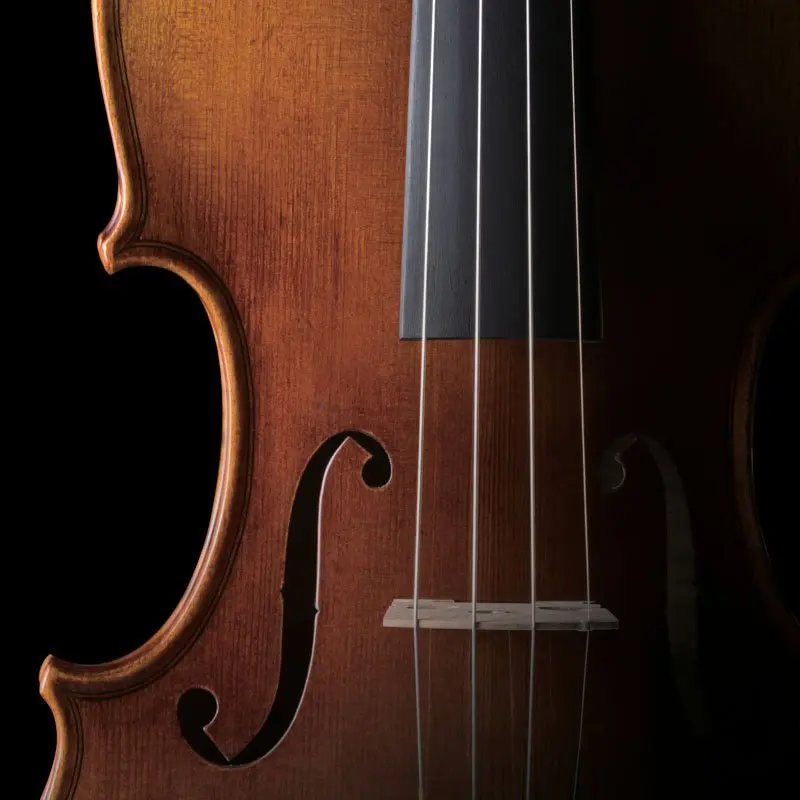 violin ritmuller - What is the history of Ritmuller