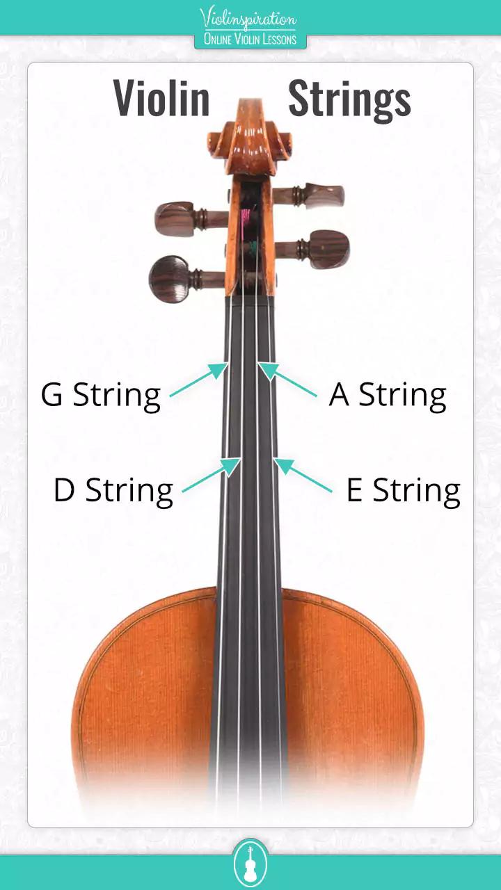 violin open strings - What is the meaning of open string