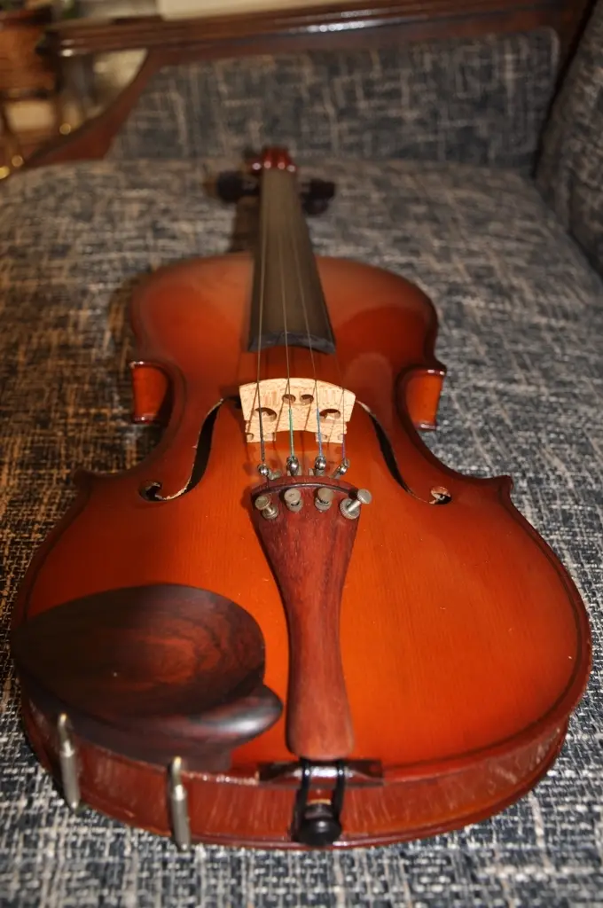 El Violín Parrot: Un Instrumento Único en su Clase - What is the violin stick called violin parrot - What is the violin stick called