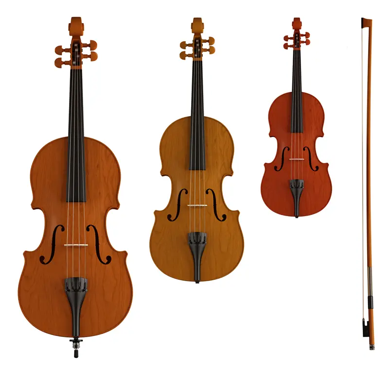 contrabass violin - What's the difference between a double bass and a contrabass