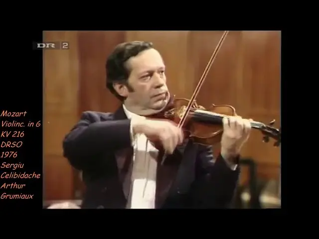 arthur grumiaux violin - What violin did grumiaux play