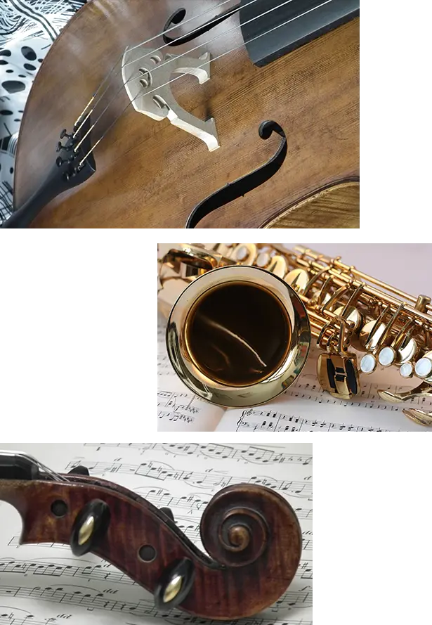 Violin Shop Singapore: Encuentra los Mejores Violines en Singapur - Which country has the best violin violin shop singapore - Which country has the best violin
