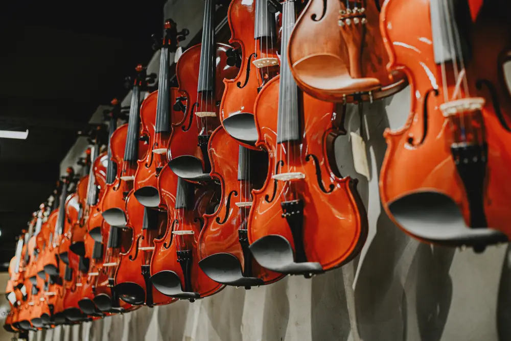 violin grande - Which violin brand is the best