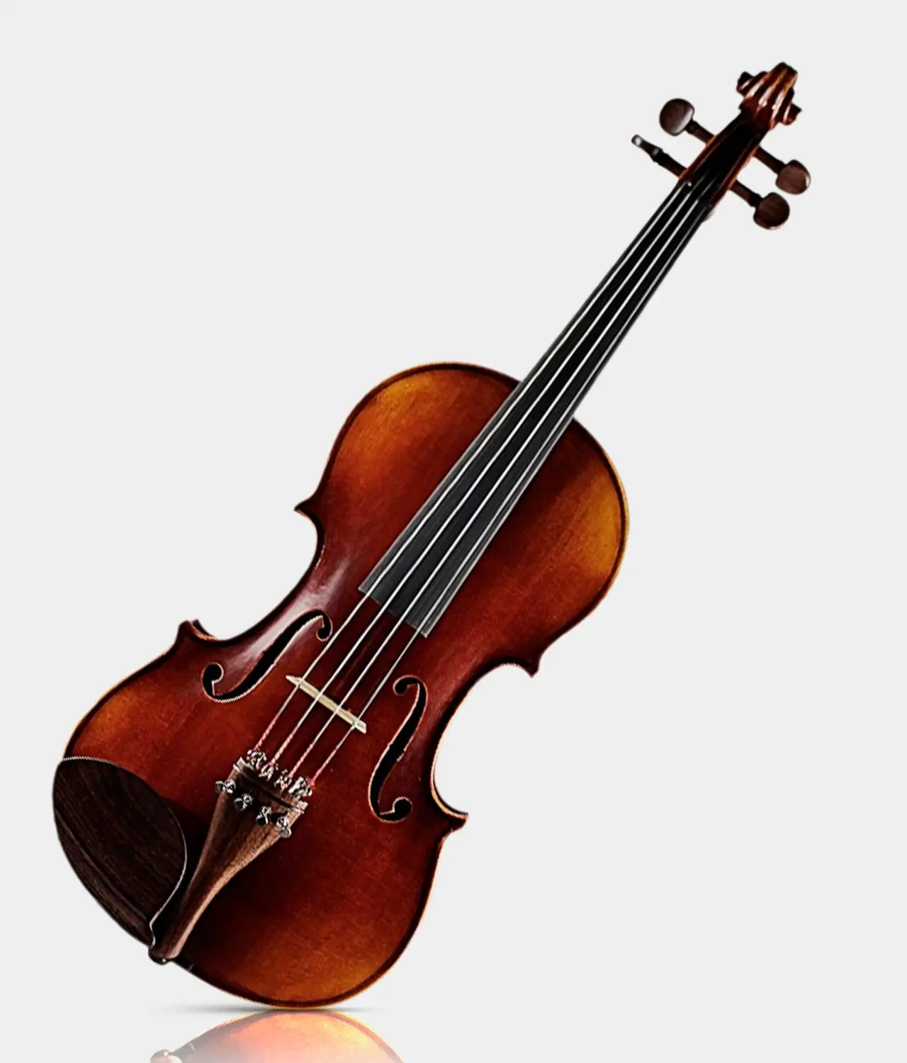 advanced violin - Which violin is best for professionals