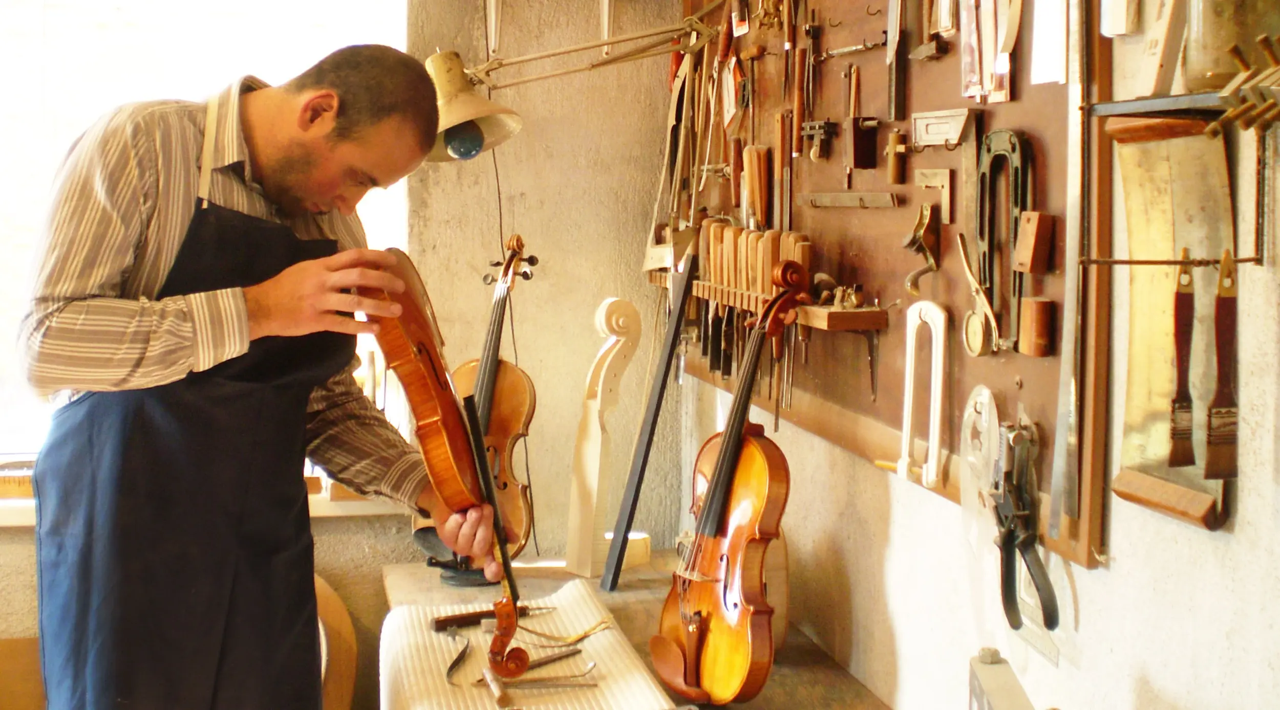 Experto en violín - Who is the best expert violin violin expert - Who is the best expert violin