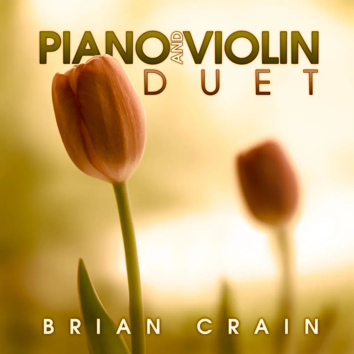 brian crain piano and violin duet - Who wrote Butterfly Waltz