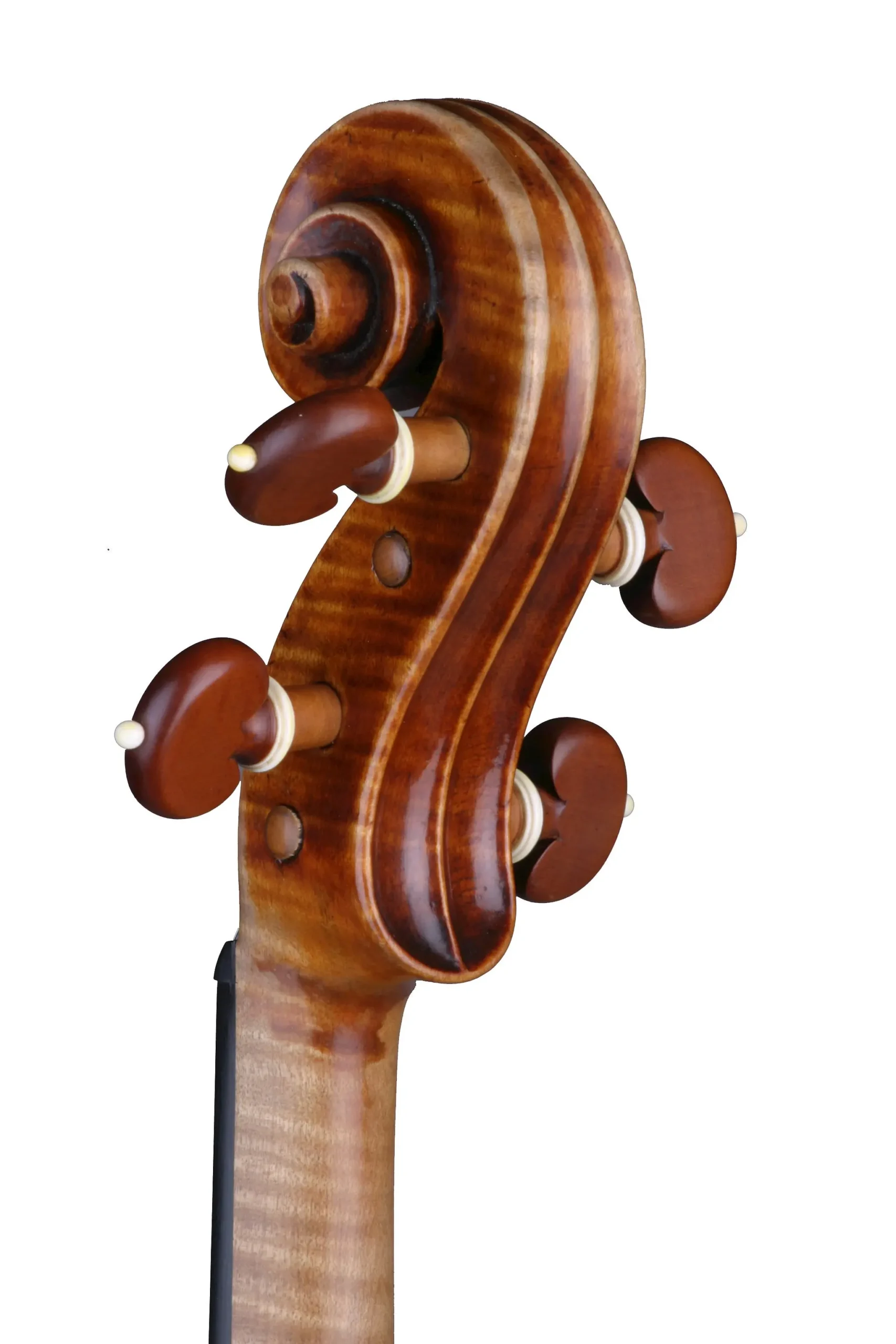 violin scroll - Why do string instruments have a scroll