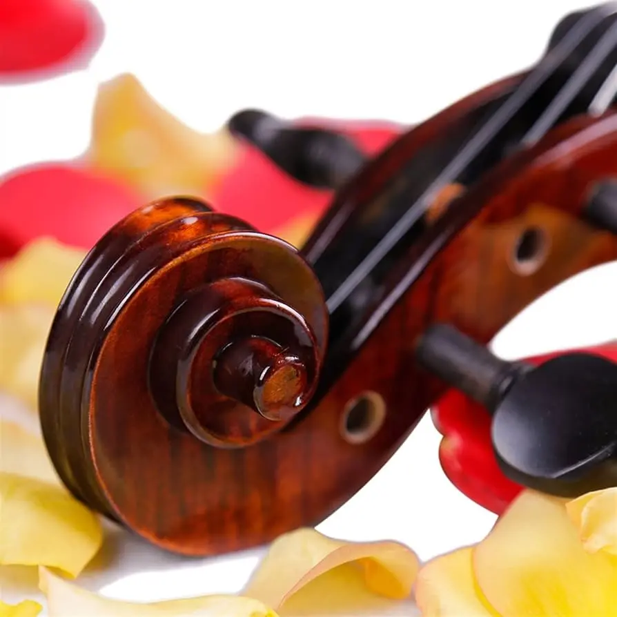 Apliques de violín en fibrofácil: un toque de elegancia para tu instrumento - Cómo es la madera de fibrofacil apliques de violin en fibrofacil - Cómo es la madera de fibrofacil