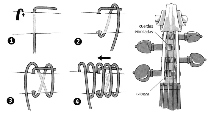 Cómo trasladar una melodía de guitarra a violín - Cómo funcionan los instrumentos Transpositores como trasladar una melodia de guitarra a violin - Cómo funcionan los instrumentos Transpositores