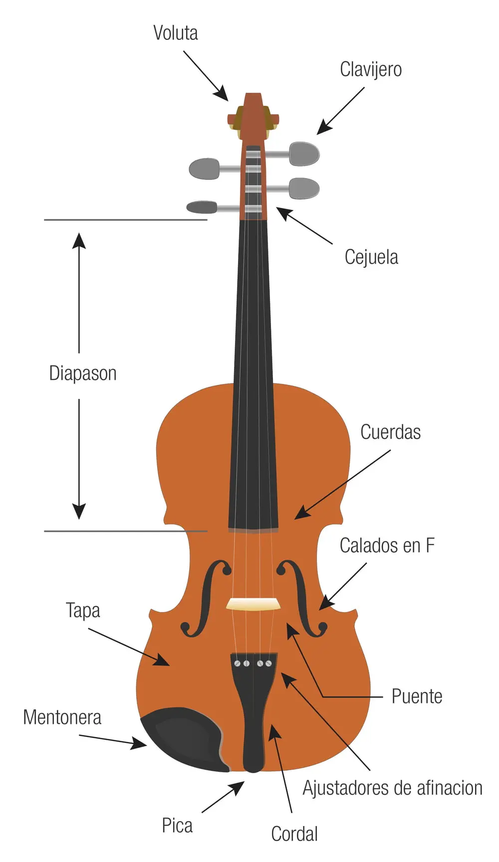 cual els el radio del diapason de un violin - Cómo medir el radio de un diapasón