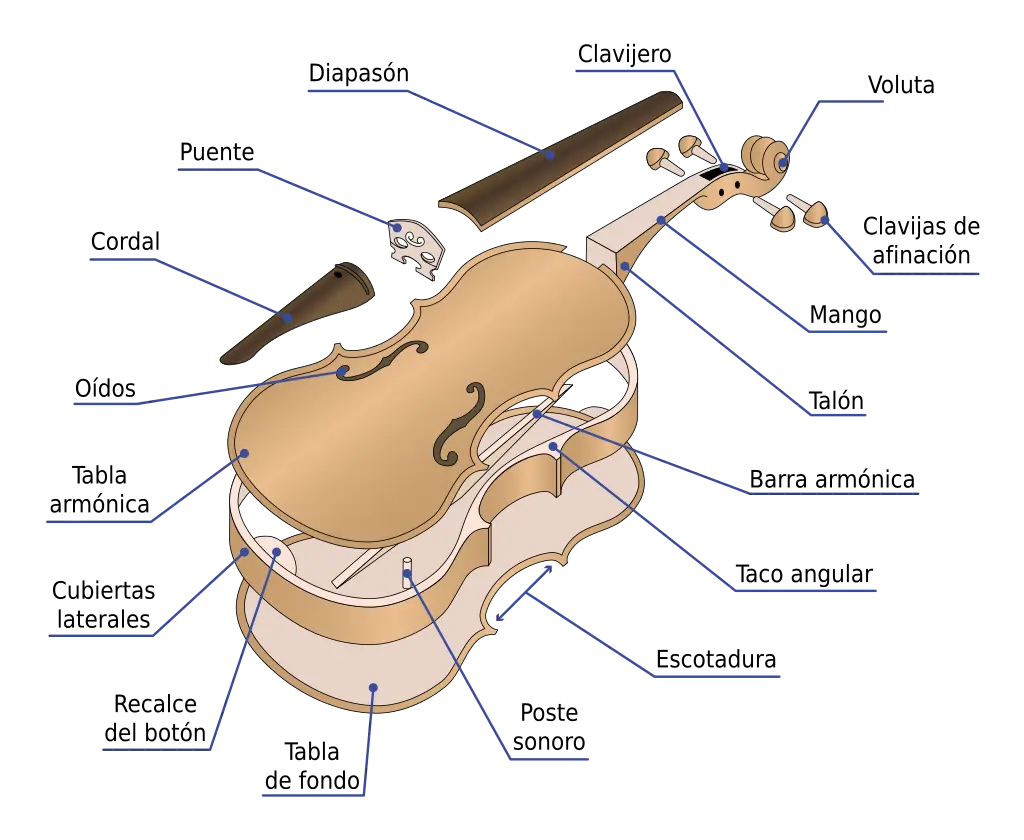 Adjetivos Calificativos de Violín - Cómo puede ser el adjetivo calificativo adjetivos calificativos de violín - Cómo puede ser el adjetivo calificativo