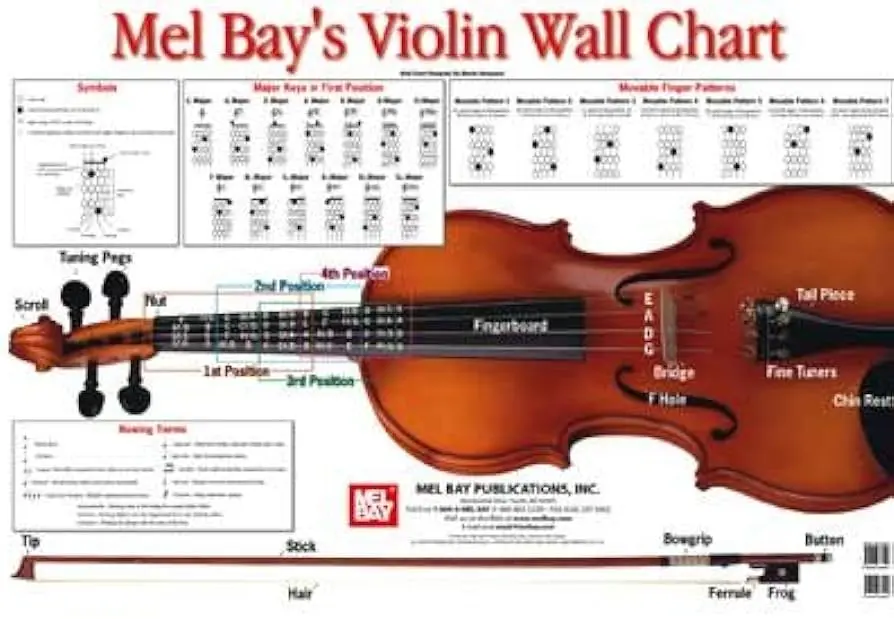 clasificacion general del violin - Cómo se clasifican los instrumentos