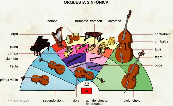 clasificacion de los violines en una orquesta - Cómo se clasifican los instrumentos en una orquesta