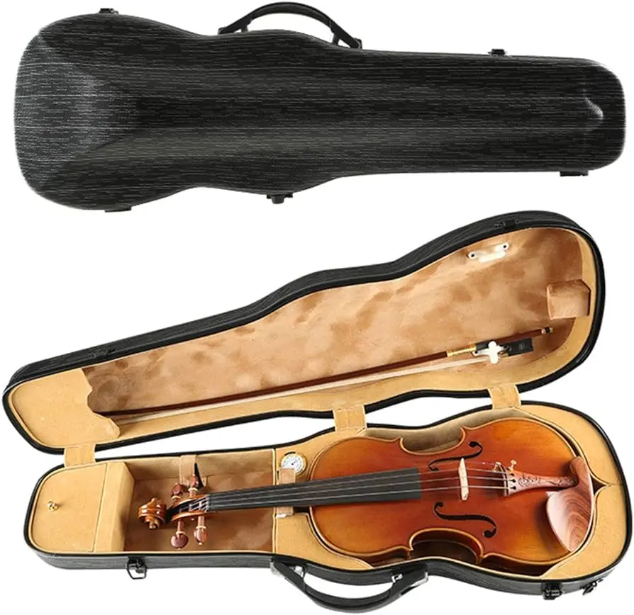 capitulo arancelario de violin con su estuche - Cómo se determina la clasificación arancelaria del producto