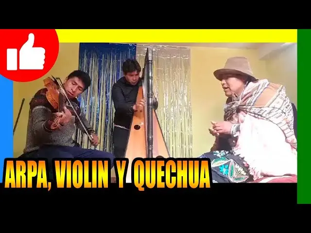 violin en quechua - Cómo se dice violín en quechua