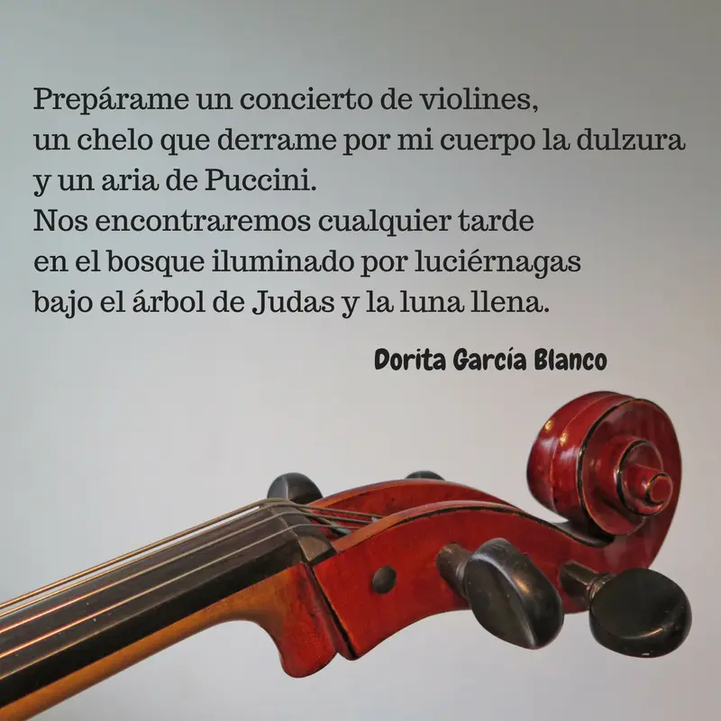 poemas visuales de violin - Cómo se hace la poesía visual